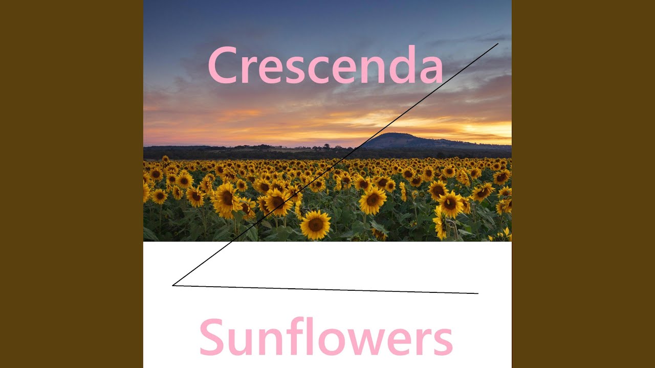 Watch Sunflowers on YouTube Watch Sunflowers on YouTube