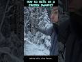 How to walk on Frozen Swamps #adventure #hiking #bushcraft #survival #outdoors
