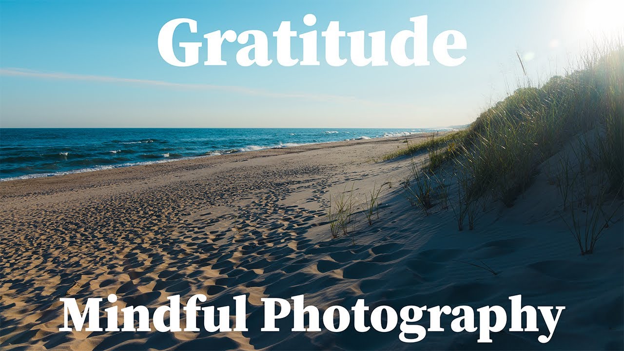 Gratitude - Mindful Photography -  Indiana Dunes State Park