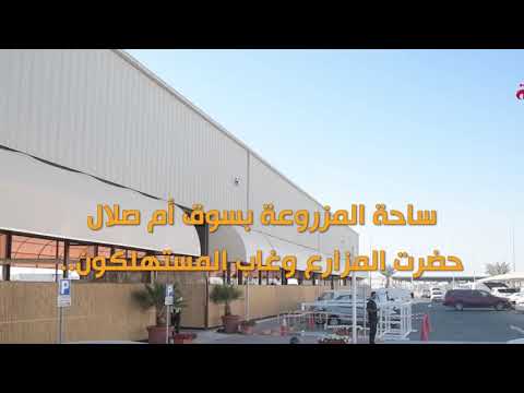 ساحة المزروعة بسوق أم صلال حضرت المزارع وغاب المستهلكون اعرف السبب