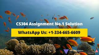 CS304 Assignment No. 1 Solution Spring 2023