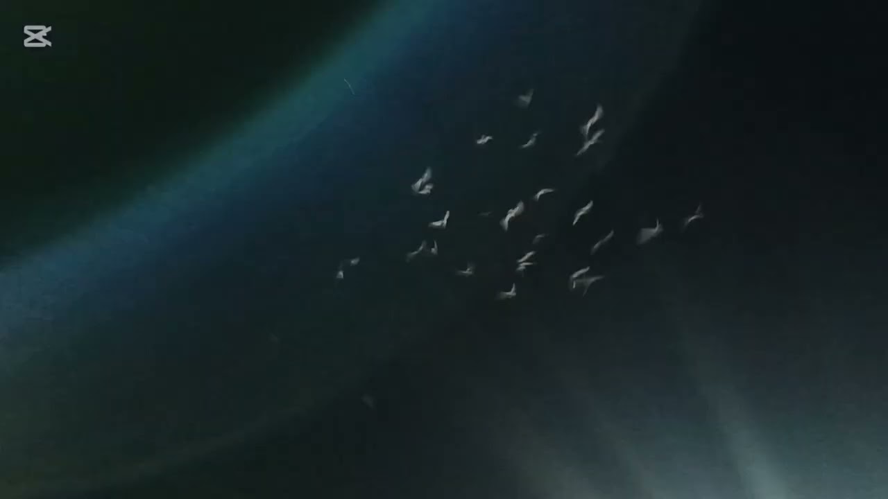 كش الحمام ليل وصيد عنابي احمر