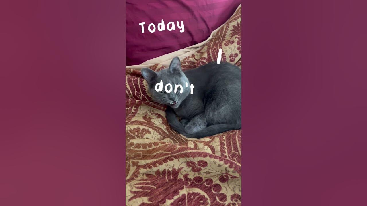 The lazy song is made for her