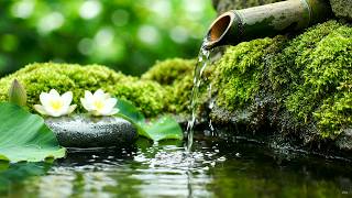 Slow Piano Music with Bamboo Water Sounds 🌙 Green Bamboo Water Garden | Calm Focus and Better Sleep screenshot 5