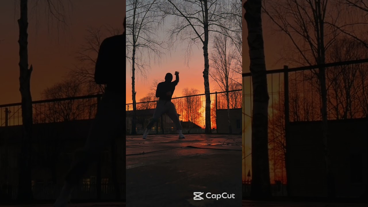 100 Pushups. 100 Sit-ups. 100 Squats. 10KM Run — EVERY. DAMN. DAY. 🥵💪 