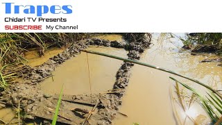 Trapes Ll Chidari Tv Presents