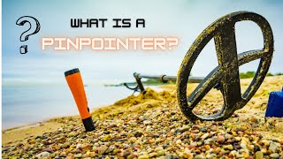 Celebrity Metal Detector Pinpointer - What You NEED to Know! Wealth