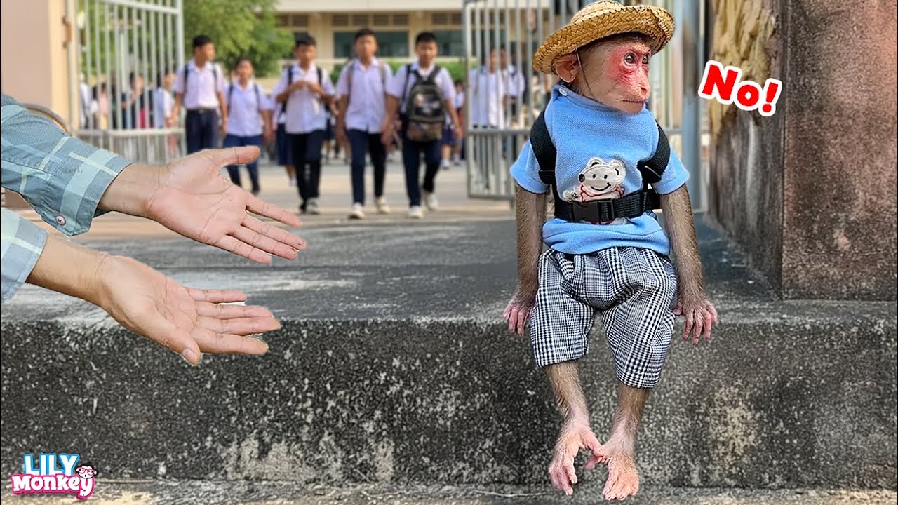 Lily is mad because dad picked her up late | Lily's story