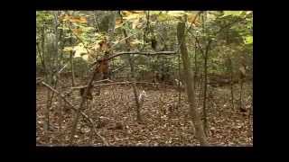 Max and Hattie's Last Hunt 2015