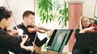 “Married Life” – UP (Pixar) | Wedding String Quartet Version by Subito Strings