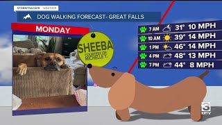 Dog-walking forecast (March 17, 2025)