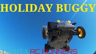 Tamiya Holiday Buggy DT-02 In The Dirt Again!