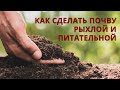 Как повысить плодородие почвы, чтобы почва стала питательнее чем чернозём?!