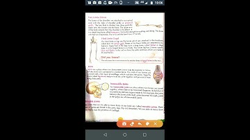 Class V EVS 17-04-2020 by Mr Rupesh