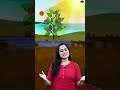 Photosynthesis in higher plants Class 11 Bio with Roshni Mam #concepthogacrystalclear