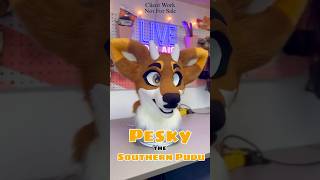 Pesky the Pudu! [Commission Showcase]