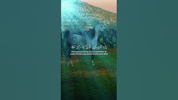 #تلاوة_خاشعة #اكسبلور #راحة_نفسية #اجر_لي_ولكم#ياسر_الدوسري#قرآن #استخدم الصوت #oração #korean#islam