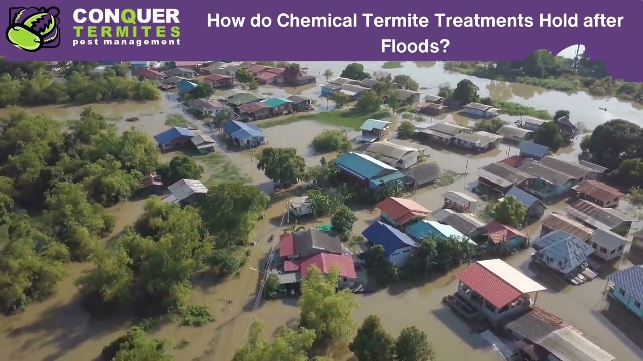 Do Floods Affect Termite Treatments? What Homeowners Need to Know!