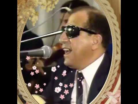 حلوين من يومنا والله سيد مكاوي