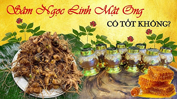 SÂM NGỌC LINH NGÂM MẬT ONG CÓ TỐT KHÔNG