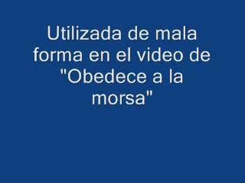 Obedece a la morsa – Dano Cerebral