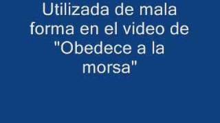 Video-Miniaturansicht von „Musica original de Barney del video de obedece a la morsa“