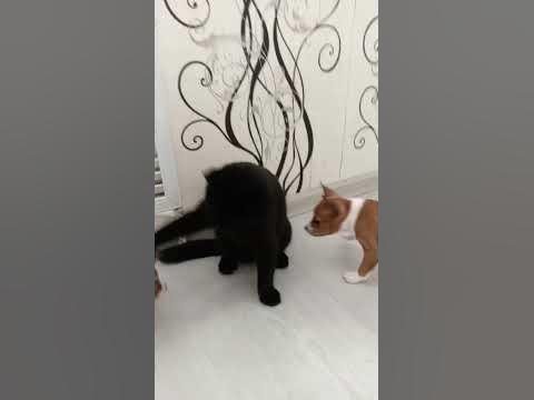 Помогатор))) - YouTube