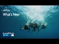 The GoPro Hero5 Black: Waterproof, Stabilized, Voice Commands & More
