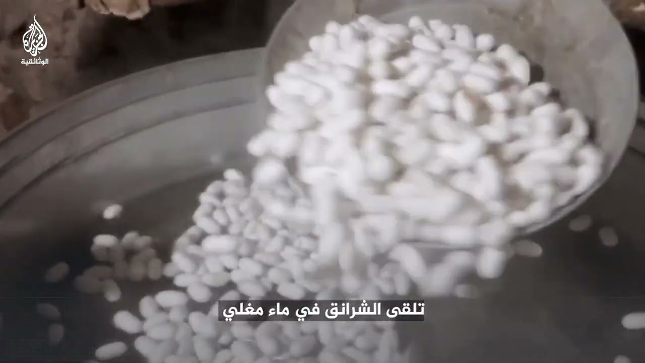 من دودة القز إلى مرحلة الصباغة..  لنشاهد كيف يصنع الحرير الفارسي