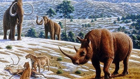 zt2-Ice age plain exhibit tour