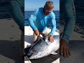 cook tuna#tuna #cookingvideo #aicooking #fishingvideo