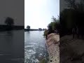 العنوان المحله الكبرى كوبري الفاروقيه محلة روح من اول الشبينى فم الفاروقيه 