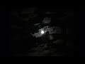 Niska Chasse à L Homme Hoodtrap Slowed And Reverb 