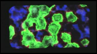 Download Watch Wxiii Kidou Keisatsu Patlabor Myanimelist Net Desktop Wallpaper Free Get Wallpaper Watch Wxiii Kidou Keisatsu Patlabor Myanimelist Net Free HD