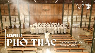 PHÓ THÁC | ANGELO CHOIR & CA ĐOÀN THIÊN CA | ACAPELLA [MV 4K]