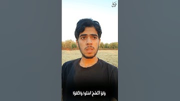 {وَلَوْ أَنَّهُمْ آمَنُوا وَاتَّقَوْا  - القارئ: محمد دياب