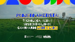 PROJETO AMESTISTA