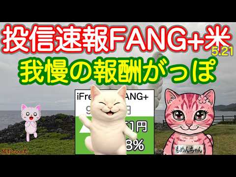 NVIDIA決算ヨシあげていいよ！今夜は我慢の報酬ががっぽりでた、FANG+SOX+日米モメンタム！さあ休憩は終わった！いくぜ登るぜ億万城の頂上へ！【投信確定速報】