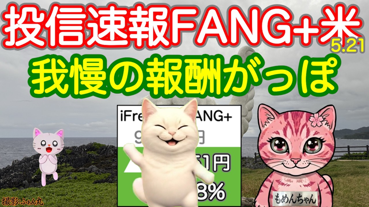 NVIDIA決算ヨシあげていいよ！今夜は我慢の報酬ががっぽりでた、FANG+SOX+日米モメンタム！さあ休憩は終わった！いくぜ登るぜ億万城の頂上へ！【投信確定速報】