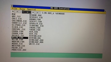 Crashed Windows 1.01