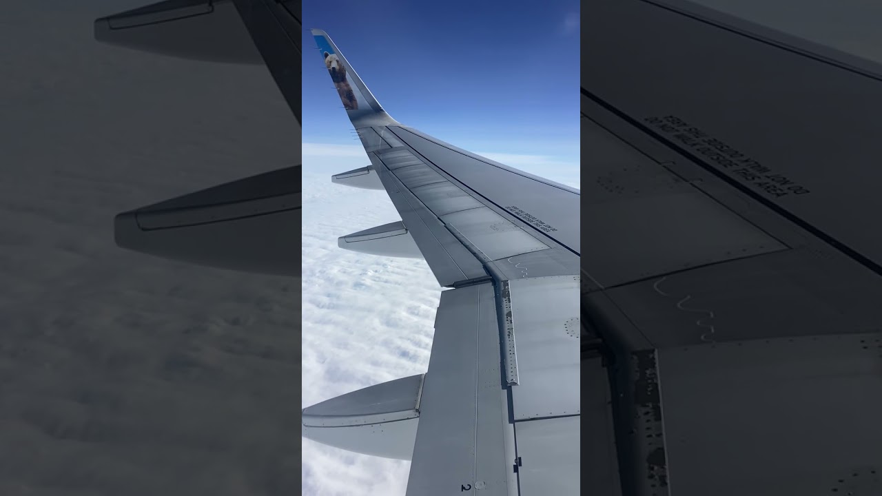 Frontier Airlines Airbus A320NEO(N391FR) in flight pt 2