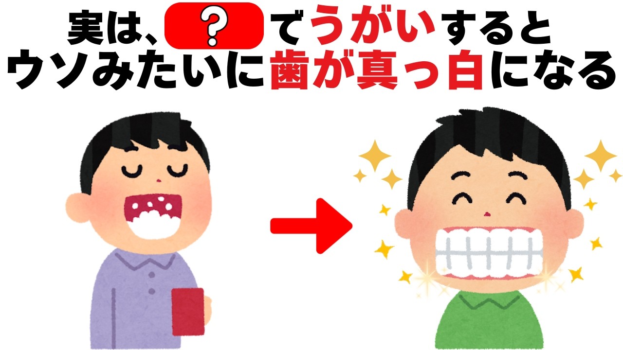 【誰かに教えたくなる】9割の人が知らない！でも有益で面白い厳選雑学【聞き流し・睡眠用】