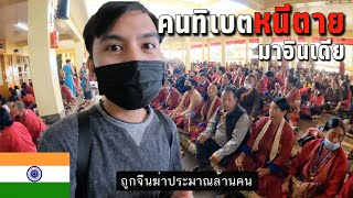 🇮🇳EP.7 ทำไมคนทิเบตย้ายมาอยู่อินเดีย? | Are these Tibetan deprived from their own land country?