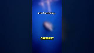 The Creepiest Ocean Animal Sounds Ever