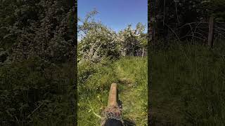 Hit or miss? #airsoft #cheater #shorts