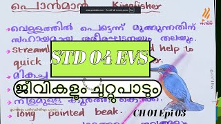 First Bell 3.0 STD 04 EVS ജീവികളും ചുറ്റുപാടും CH 01 Epi 03
