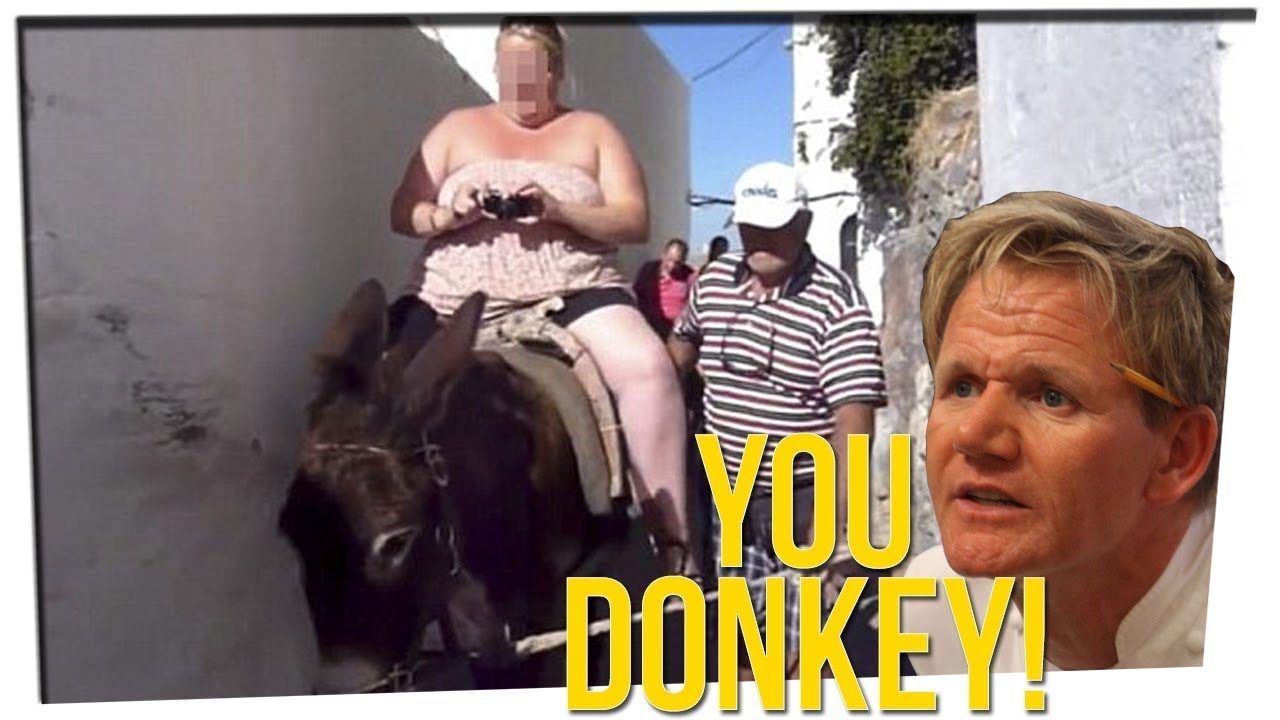 tiffany del real birthday Greece Has to Breed Stronger Donkeys Because FAT PEOPLE?! ft. Steve Greene