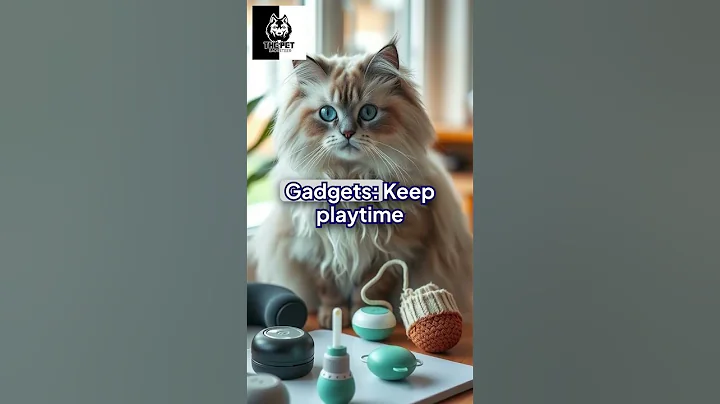 Watch the video about Top Tech Toys for Scottish Folds in 2025