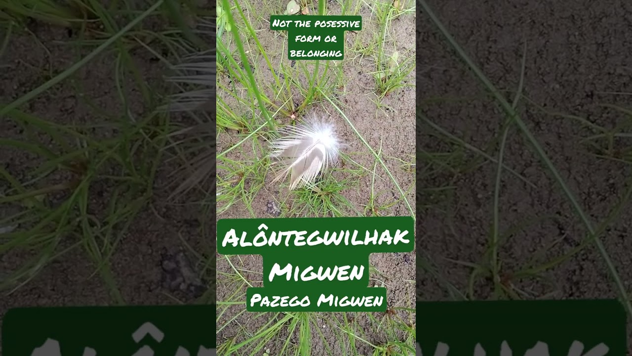 How to say Wood Ducks speaking Abenaki Language 