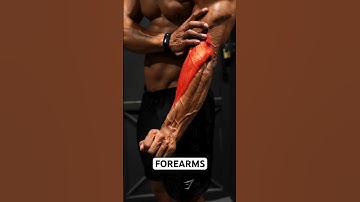 forearm workout with dumbbells 💪 l forearm exercises #shorts #forearms #forearmworkout